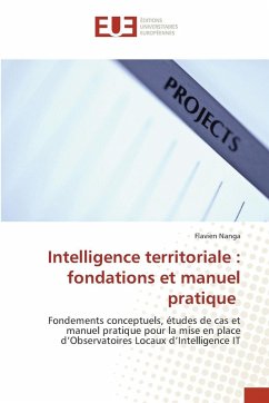 Intelligence territoriale : fondations et manuel pratique - Nanga, Flavien