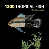 1200 Tropical Fish 1200 Tropical Fish