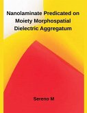 Nanolaminate Predicated on Moiety Morphospatial Dielectric Aggregatum