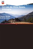 Croissance et diversification des TPE : Le cas de Dire Dawa, Éthiopie