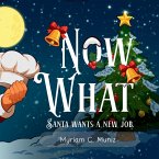 Now What? Santa Wants A New Job Now What? Santa Wants A New Job