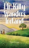 Mr. Kitty Wanders Ireland (eBook, ePUB)