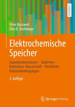 Cover Elektrochemische Speicher (eBook, PDF)