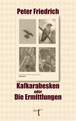 Kafkarabesken oder Die Ermittlungen (eBook, ePUB) - Friedrich, Peter