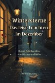 Wintersterne - Das leise Leuchten im Dezember (eBook, ePUB)
