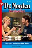 Es begann in einer dunklen Nacht (eBook, ePUB) Es begann in einer dunklen Nacht (eBook, ePUB)