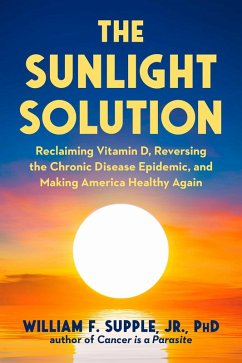 Cover The Sunlight Solution (eBook, ePUB)