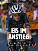 Eis im Anstieg