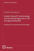 Soziale Herkunft, Karrierewege und Entscheidungspraxis in der Sozialgerichtsbarkeit