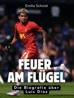 Cover Feuer am Flügel