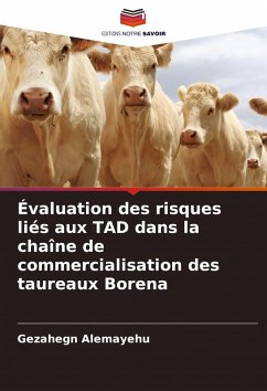 Cover Évaluation des risques liés aux TAD dans la chaîne de commercialisation des taureaux Borena