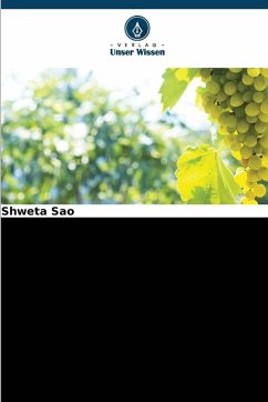 Cover Industrieabfall Flugasche als Düngemittel