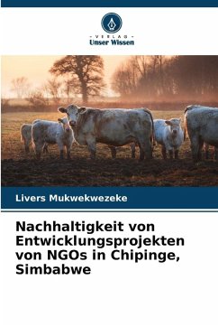 Cover Nachhaltigkeit von Entwicklungsprojekten von NGOs in Chipinge, Simbabwe