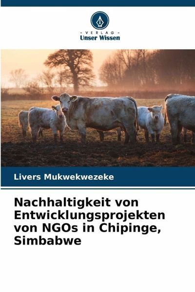 Nachhaltigkeit von Entwicklungsprojekten von NGOs in Chipinge, Simbabwe