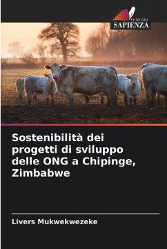 Cover Sostenibilità dei progetti di sviluppo delle ONG a Chipinge, Zimbabwe