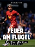 Feuer am Flügel