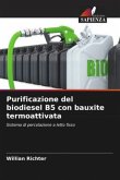 Purificazione del biodiesel B5 con bauxite termoattivata
