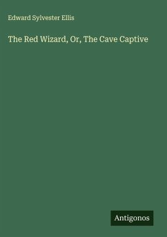The Red Wizard, Or, The Cave Captive - Ellis, Edward Sylvester