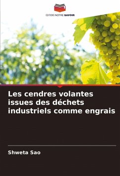 Cover Les cendres volantes issues des déchets industriels comme engrais