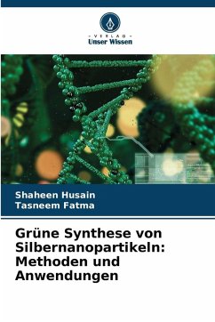 Cover Grüne Synthese von Silbernanopartikeln: Methoden und Anwendungen