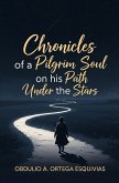 Chronicles of a Pilgrim Soul on his Path Under the Stars (eBook, ePUB)