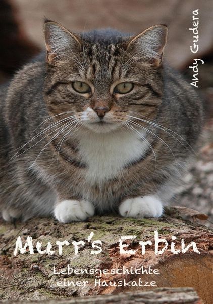 Murr's Erbin (eBook, ePUB)