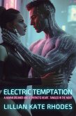 Electric Temptation (eBook, ePUB)