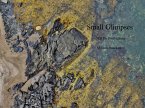 Small Glimpses (eBook, ePUB)