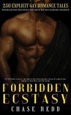 Forbidden Ecstasy - 250 Explicit Gay Romance Tales (eBook, ePUB) Forbidden Ecstasy - 250 Explicit Gay Romance Tales (eBook, ePUB)