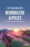 Bedrohliche Alpilles (eBook, ePUB)