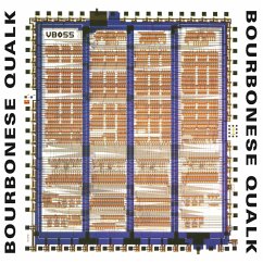 Cover My Government Is My Soul