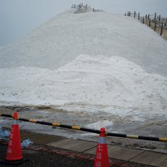 Cover Artificial Salvation