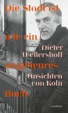 Die Stadt ist wie ein ungeheures Buch (eBook, ePUB)