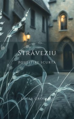 Cover Straveziu: Povestire scurta (eBook, ePUB)
