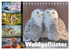 Waldgeflüster (Tischkalender 2026 DIN A5 quer), CALVENDO Monatskalender