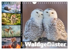 Waldgeflüster (Wandkalender 2026 DIN A4 quer), CALVENDO Monatskalender Waldgeflüster (Wandkalender 2026 DIN A4 quer), CALVENDO Monatskalender