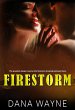 Firestorm (eBook, ePUB) - Bild 1