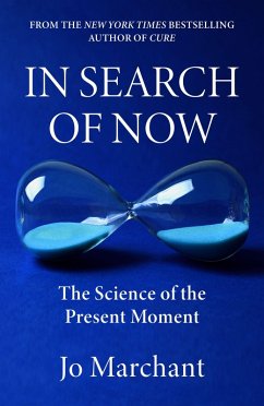 In Search of Now - Marchant, Jo