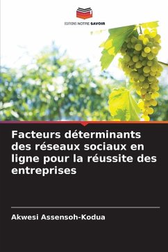 Cover Facteurs déterminants des réseaux sociaux en ligne pour la réussite des entreprises