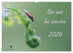 Nos amis les insectes (Calendrier mural 2026 DIN A2 vertical), CALVENDO calendrier mensuel