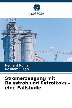 Cover Stromerzeugung mit Reisstroh und Petrolkoks - eine Fallstudie