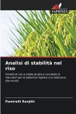 Analisi di stabilità nel riso