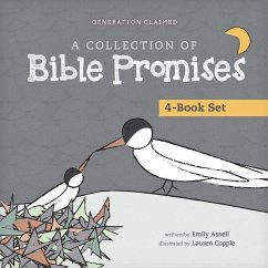 Cover A Collection of Bible Promises 4-Book Set: When It Hurts / You Are / Tonight / Chosen