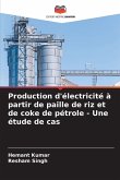 Production d'électricité à partir de paille de riz et de coke de pétrole - Une étude de cas Production d'électricité à partir de paille de riz et de coke de pétrole - Une étude de cas