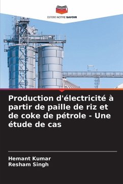 Production d'électricité à partir de paille de riz et de coke de pétrole - Une étude de cas - Kumar, Hemant;Singh, Resham