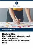 Nachhaltige Marketingstrategien und das Image von Unternehmen in Mwene-Ditu