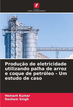 Cover Produção de eletricidade utilizando palha de arroz e coque de petróleo - Um estudo de caso