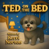 Ted on the Bed Ted on the Bed