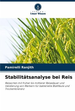 Cover Stabilitätsanalyse bei Reis