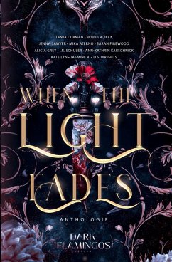 Cover When the Light Fades